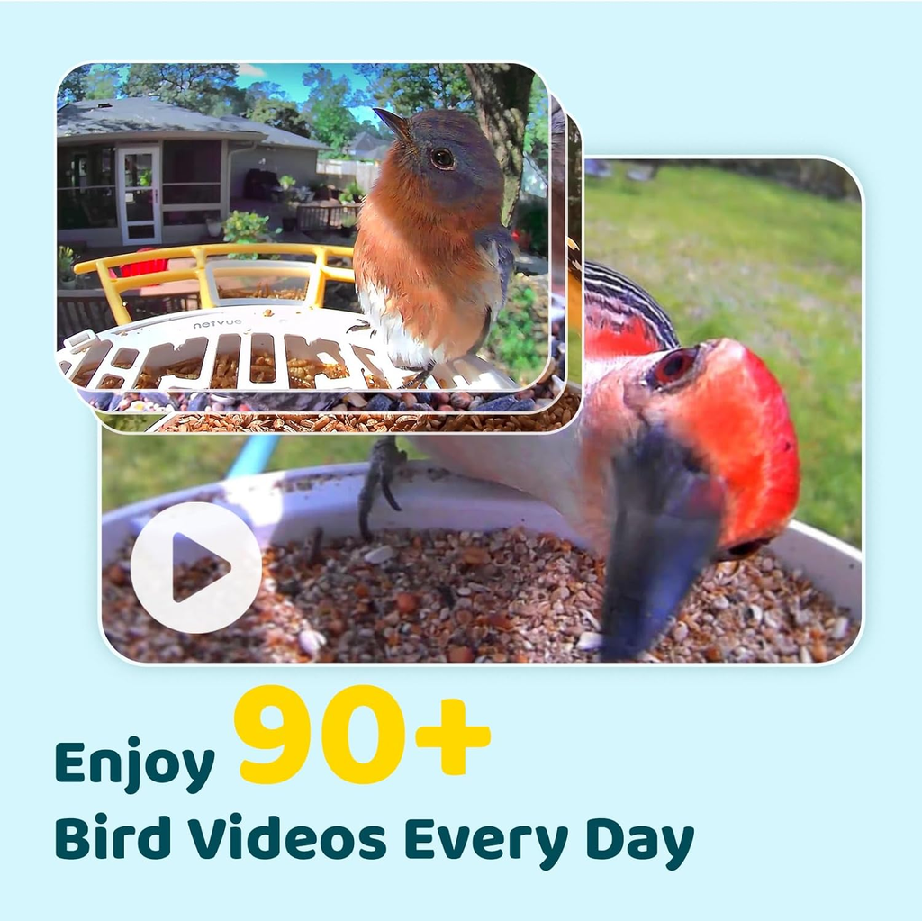 Smart Bird Feeder 2K HD AI Camera Solar Powered Wireless Bird Watching