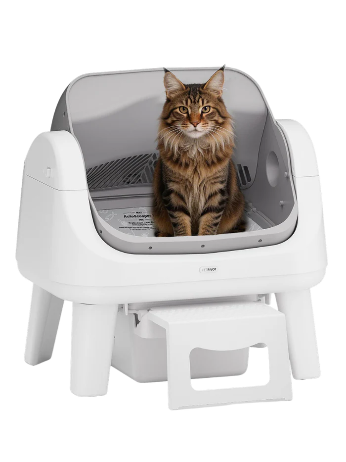 Hassle‑Free Auto Scooping | AutoScooper 12 Lite Open‑Top Cat Litter Box, 7 Safety Sensors Anti‑Pinch for Senior Cats