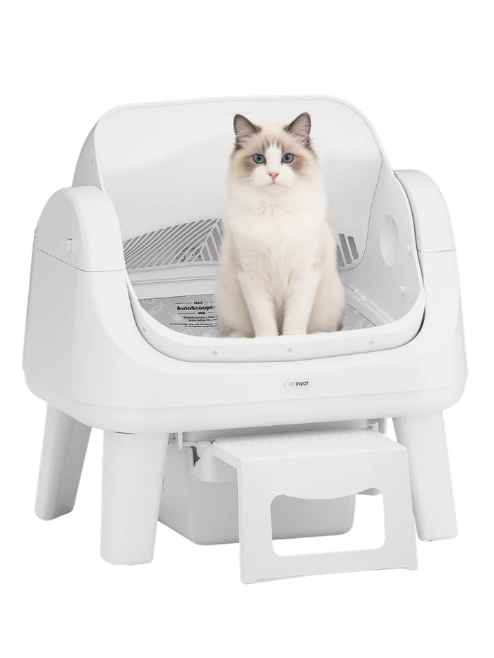 Hassle‑Free Auto Scooping | AutoScooper 12 Lite Open‑Top Cat Litter Box, 7 Safety Sensors Anti‑Pinch for Senior Cats