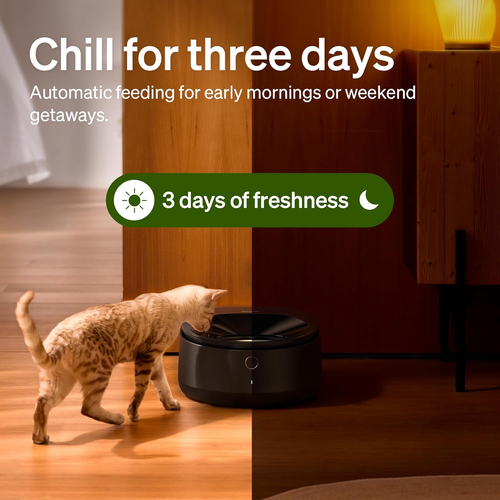 Busy Pet Owners Save Time! Smart Cooling Cat Feeder, 3-Day Fresh Food Storage, Anti-Pinch Design Easy Daily Use