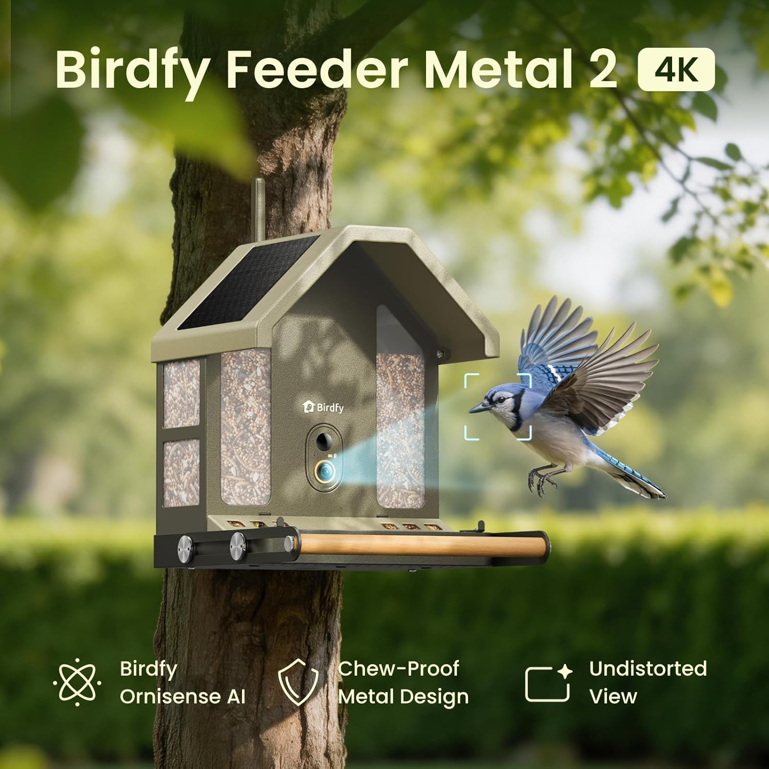4K Smart Bird Feeder Camera Solar Powered Dual Band WiFi Lifetime Free AI Bird Identification Gift for Bird Watchers