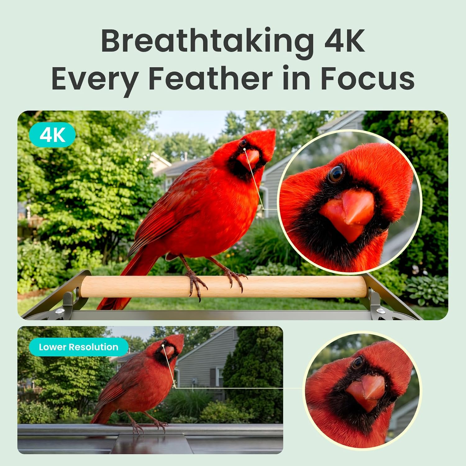 4K Smart Bird Feeder Camera Solar Powered Dual Band WiFi Lifetime Free AI Bird Identification Gift for Bird Watchers
