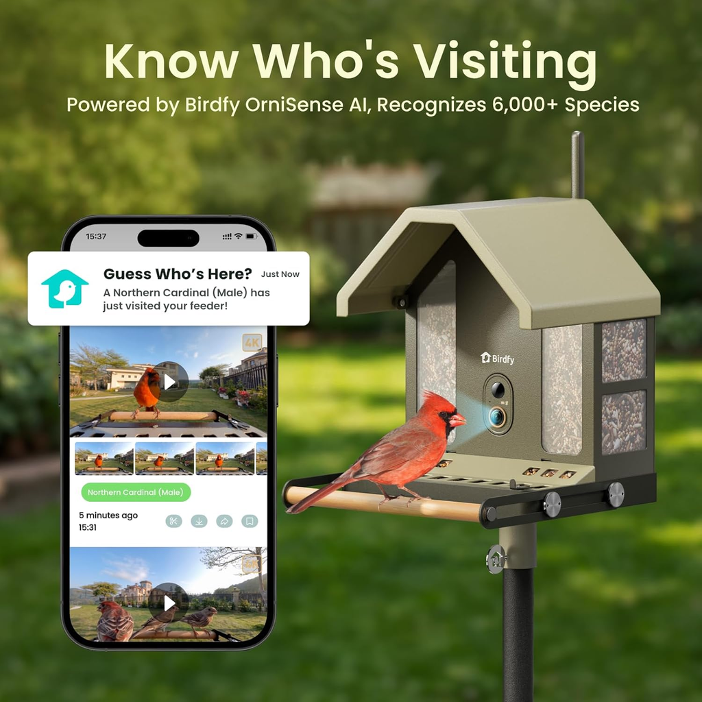 4K Smart Bird Feeder Camera Solar Powered Dual Band WiFi Lifetime Free AI Bird Identification Gift for Bird Watchers