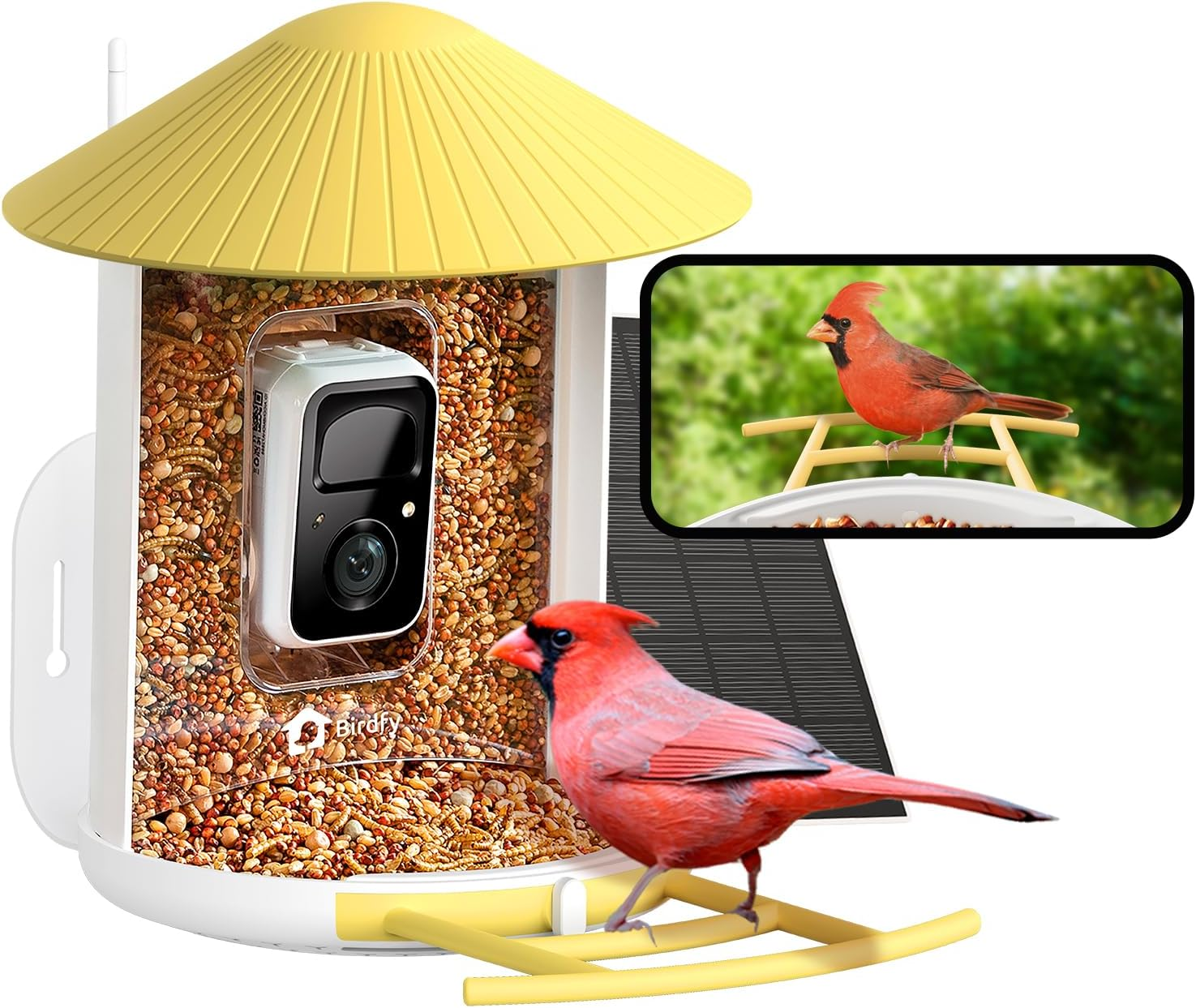 Smart Bird Feeder 2K HD AI Camera Solar Powered Wireless Bird Watching